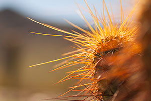 DDOS在线压力测试